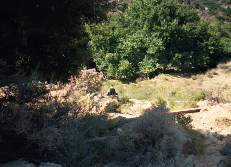 Soubor:Naxr17.jpg