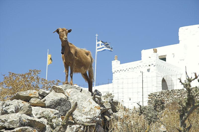 Soubor:From Theologos to Stavros, Amorogs, 085040.jpg