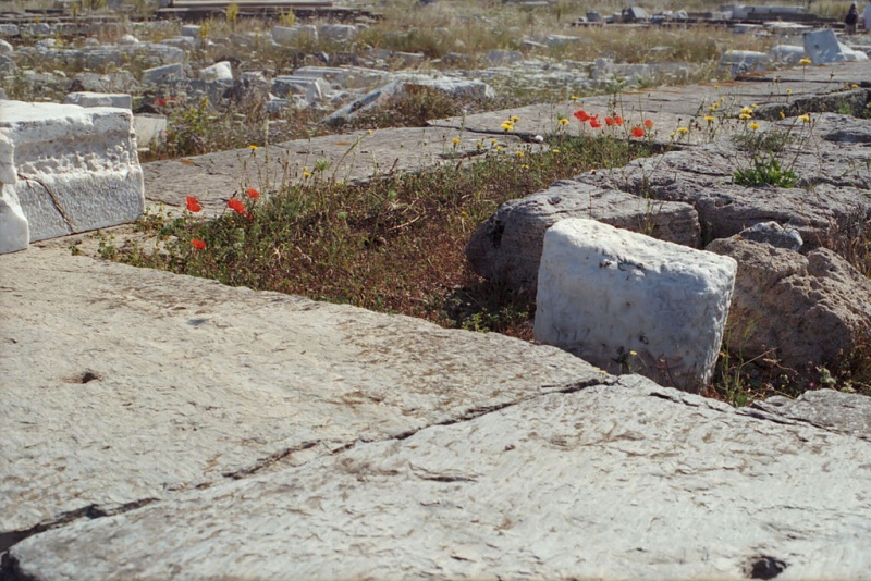 Soubor:Temple Apollo Delians Delos Delo002.jpg