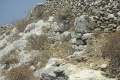 Náhled verze z 21. 2. 2018, 10:06