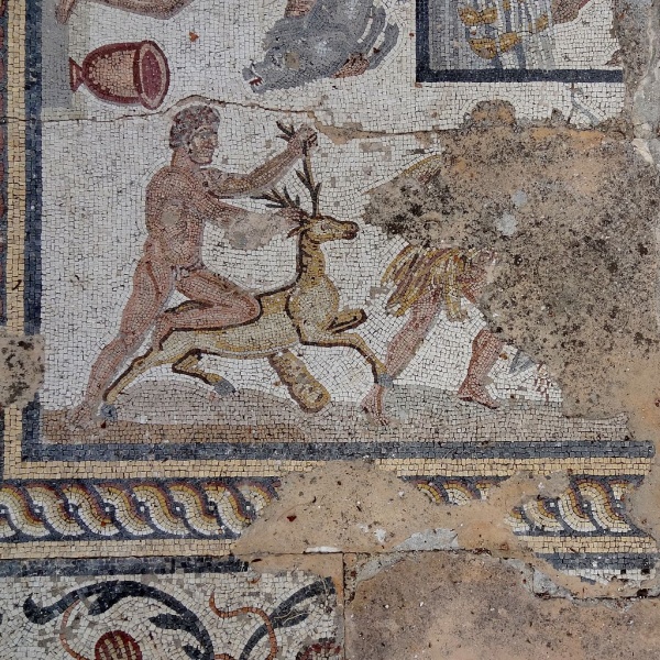 Soubor:Parikia Archäologisches Museum Mosaik 16.jpg