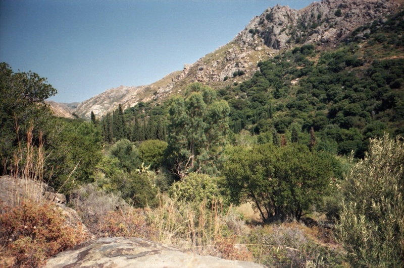 Soubor:Naxr14.jpg