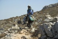From Theologos to Stavros, Amorogs, 085059.jpg