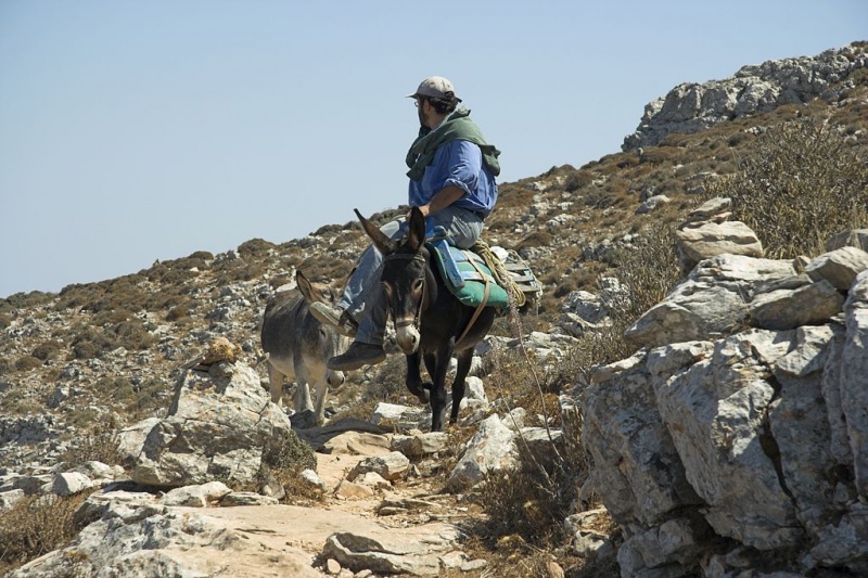 Soubor:From Theologos to Stavros, Amorogs, 085059.jpg