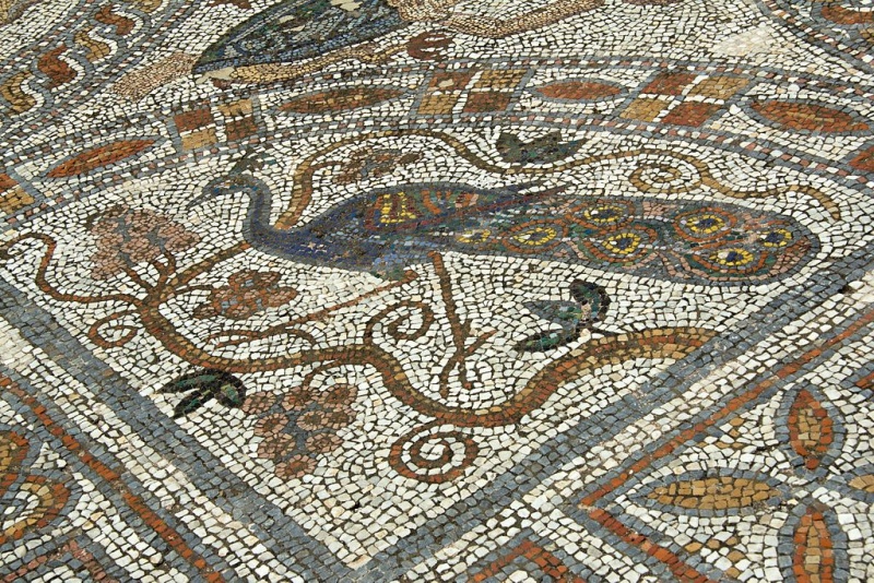 Soubor:Mosaic floor, AM Naxos, 143348.jpg