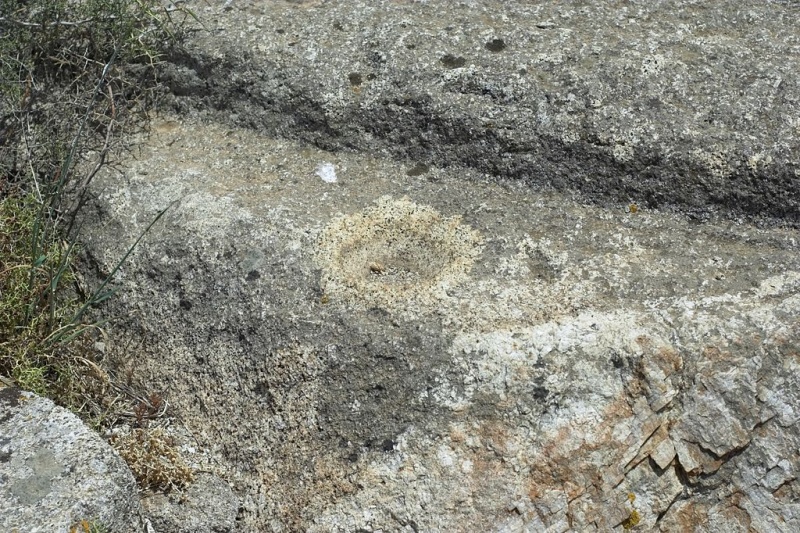 Soubor:Granodioriet bowl cut Delos 102236.jpg