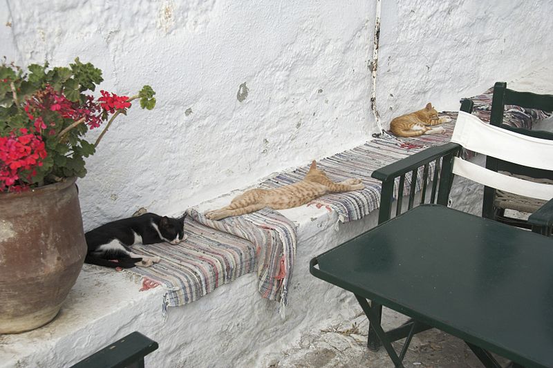Soubor:Chora of Amorgos, siesta, 084830.jpg