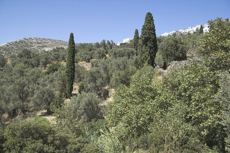 Soubor:From Moni to Chlaki, 085227.jpg