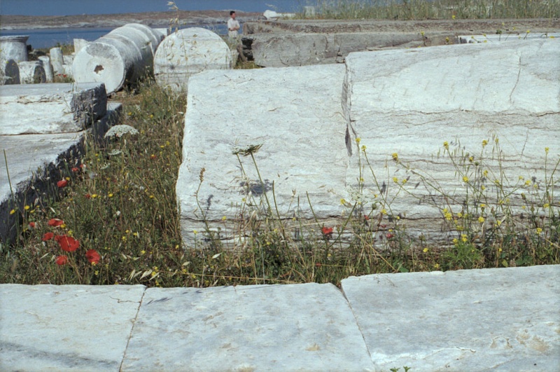 Soubor:Temple Apollo Delians Delos Delo001.jpg