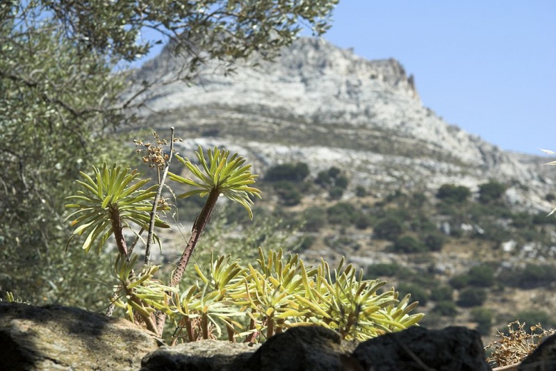 Soubor:From Moni to Chlaki, 085232.jpg
