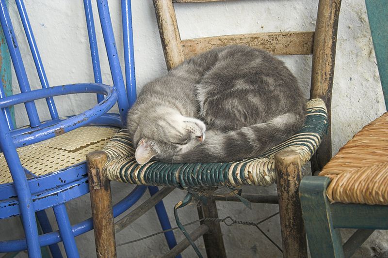 Soubor:Tholaria, Amorgos, cat, 084811.jpg