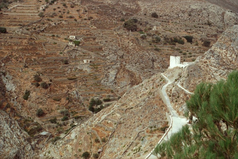 Soubor:Ano Syros, Syro203.jpg