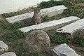 Náhled verze z 4. 1. 2018, 16:42