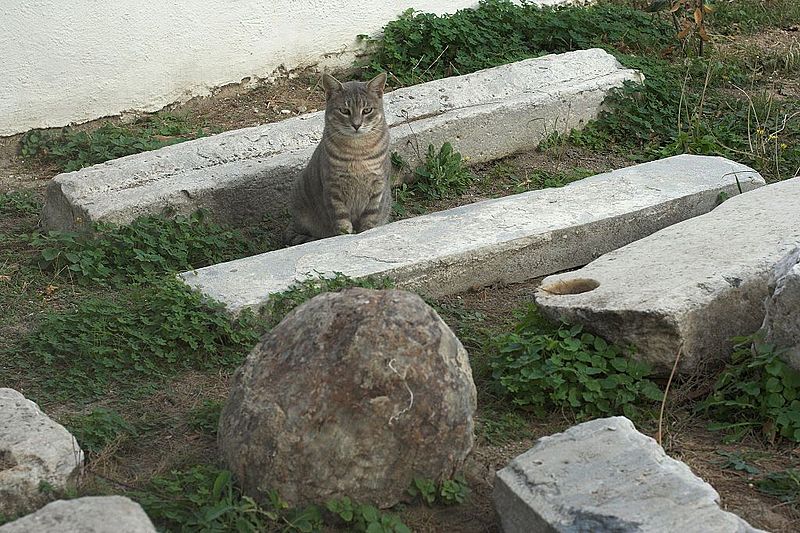 Soubor:Lapidary at Grotta, Naxos, 119979.jpg