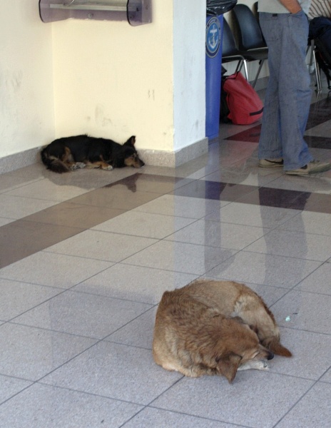 Soubor:Siesta in Athinios port at Thera, Santorini, 060798.jpg