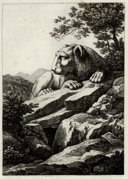 Soubor:Lion Kea2.jpg