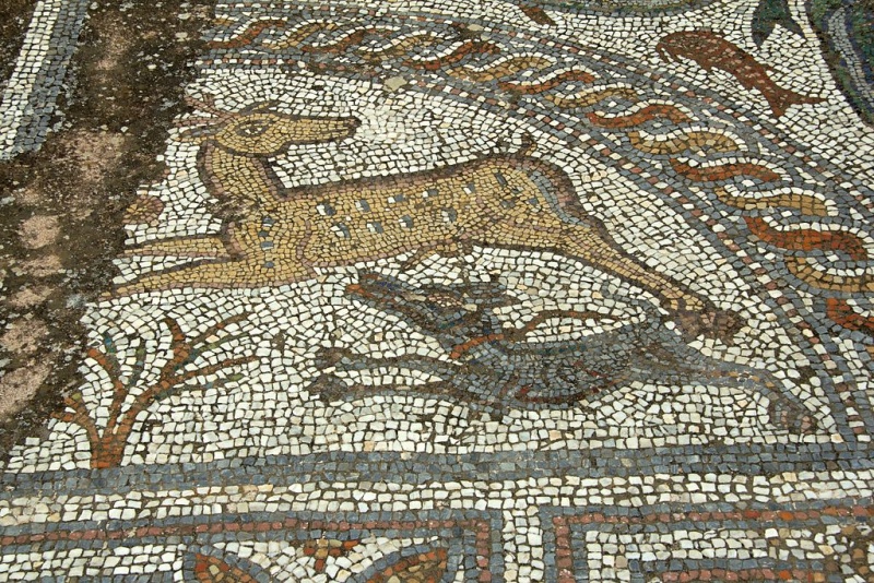 Soubor:Mosaic floor, AM Naxos, 143350.jpg