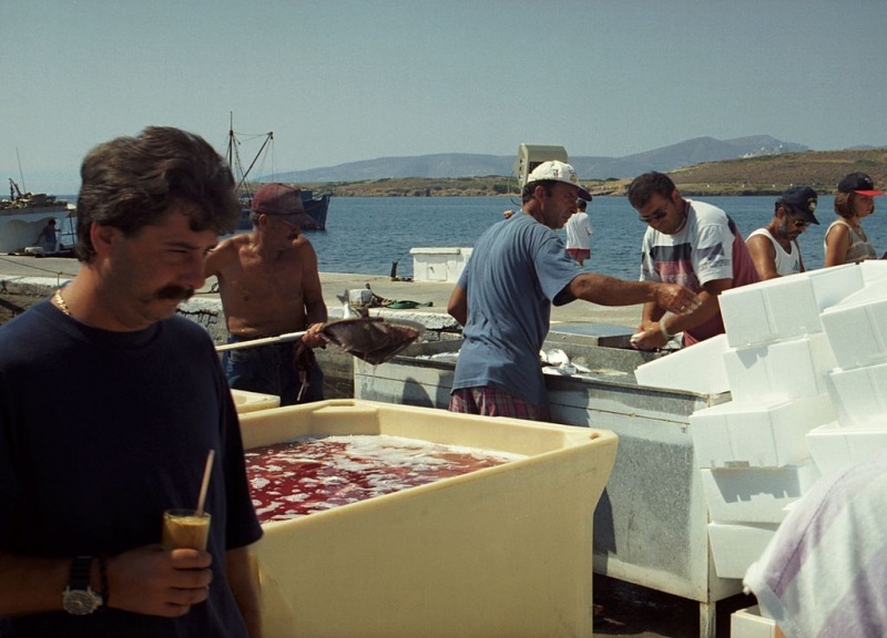 Soubor:Astypalaia Maltezana Fisherman harbor Asty52.jpg