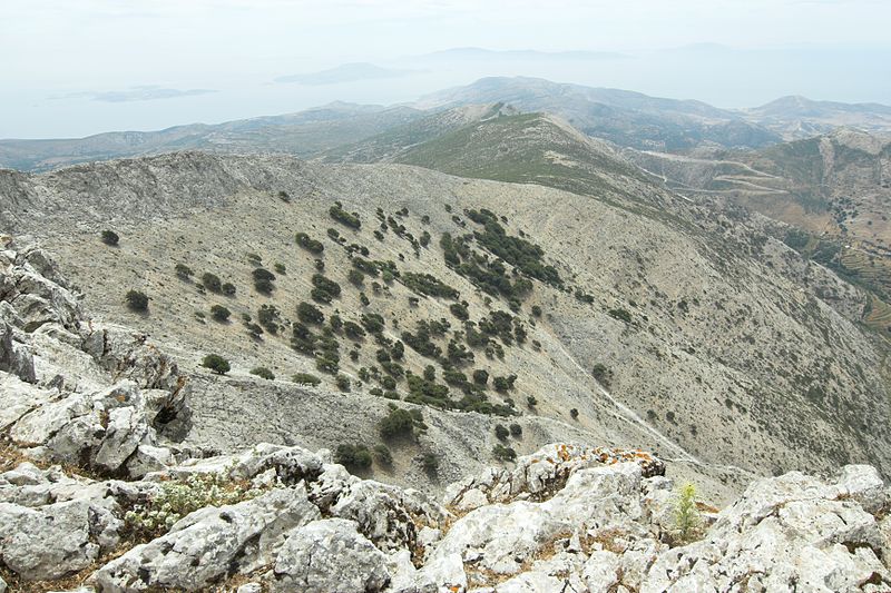 Soubor:Mount Zas, Naxos, oaks, 101957.jpg