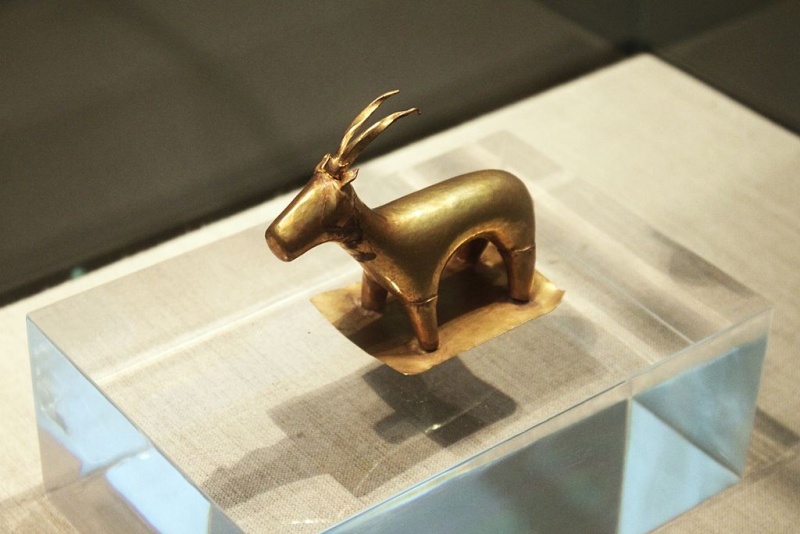 Soubor:Gold ibex (4701637748).jpg